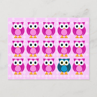 Odd Man Out - Cute Owl Cartoon Postcard
