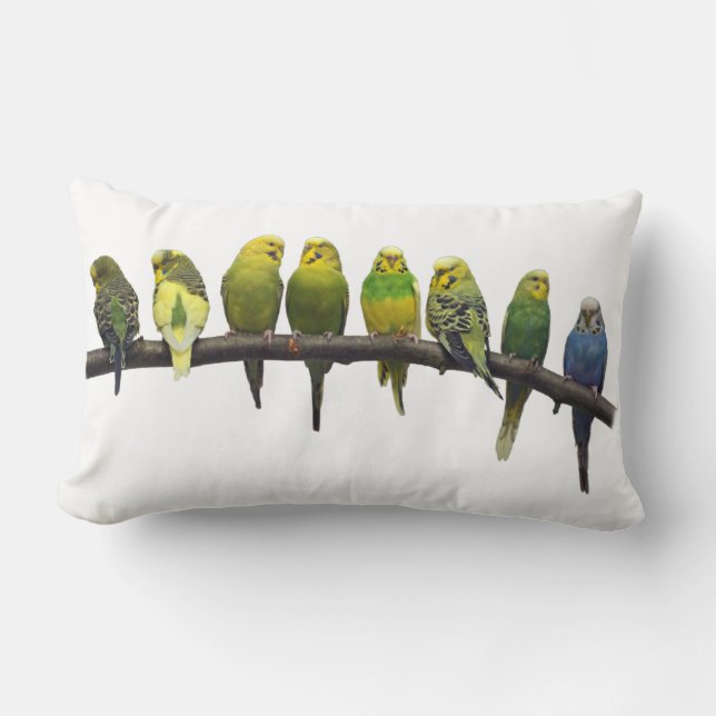 Odd One Out Pillow (White) (Front)