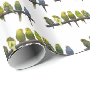 Odd One Out Wrapping Paper (choose colour)