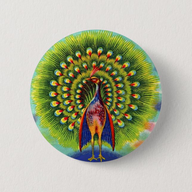  odd peacock print 2 inch round button (Front)