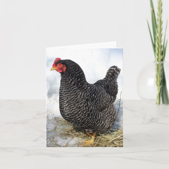 Ode to Ruthie Notecard (Front)