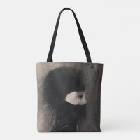 Odilon Redon Armour. Dark woman face Symbolism