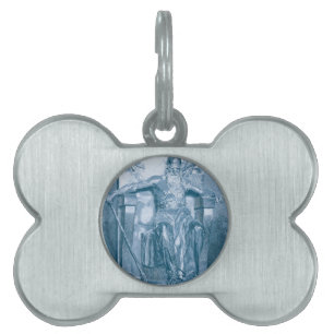 Odin Pet Name Tag