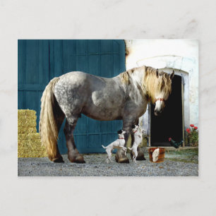 "Odin & The Twins" Postcard