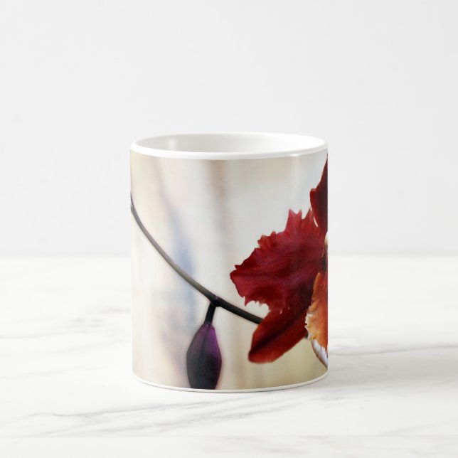 Odontoglossum orchid coffee mug (Center)