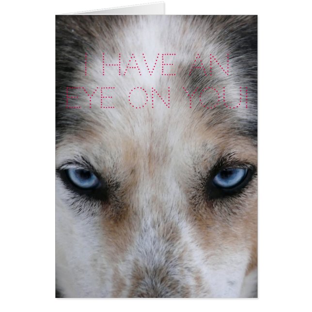 Oeil bleu Husky Oeil sur votre carte d'amour (Devant)