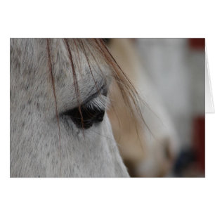 Oeil de Cheval gris