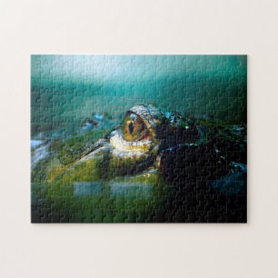 Oeil de crocodile, puzzle