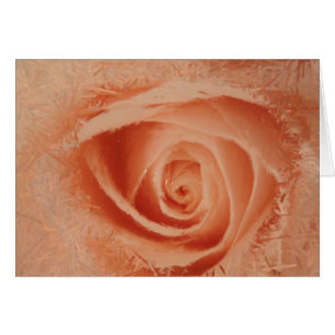Oeil de la carte Rose