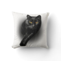 Oeil jaune de chat noir coussins