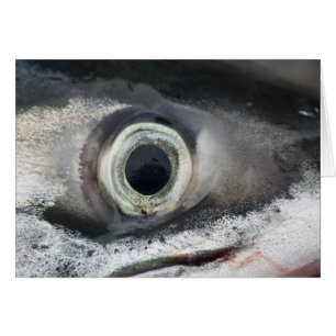 Oeil saumon