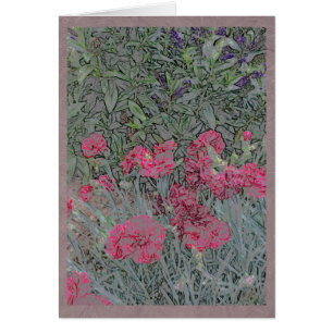 Oeillets roses dans un jardin d'été