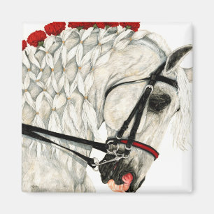 Oeillets rouges - aimant de cheval blanc