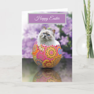 Oeuf de Pâques Kitten Chat Bonne carte de Pâques