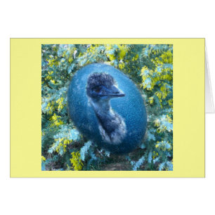 Oeuf d'émeu, faune