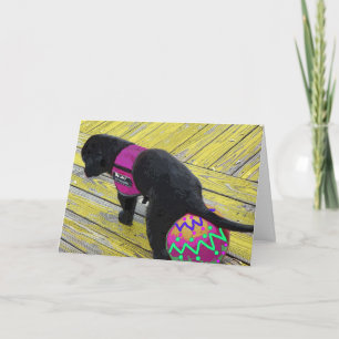 OEuf Laying Carte Pâques