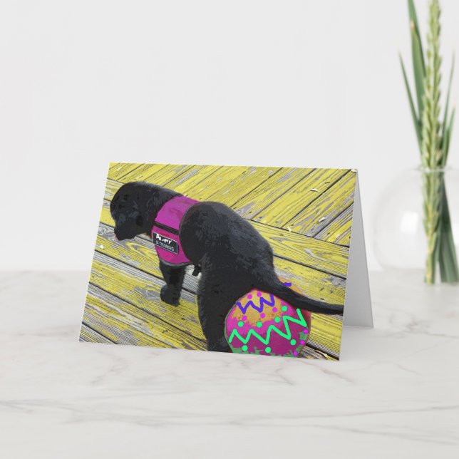 OEuf Laying Carte Pâques (Devant)