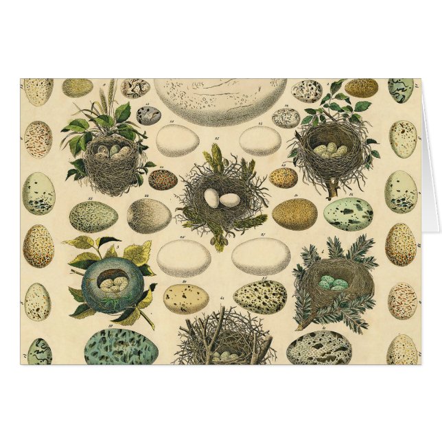 OEuf vintage Nid Art Peinture OEufs (Devant horizontal)