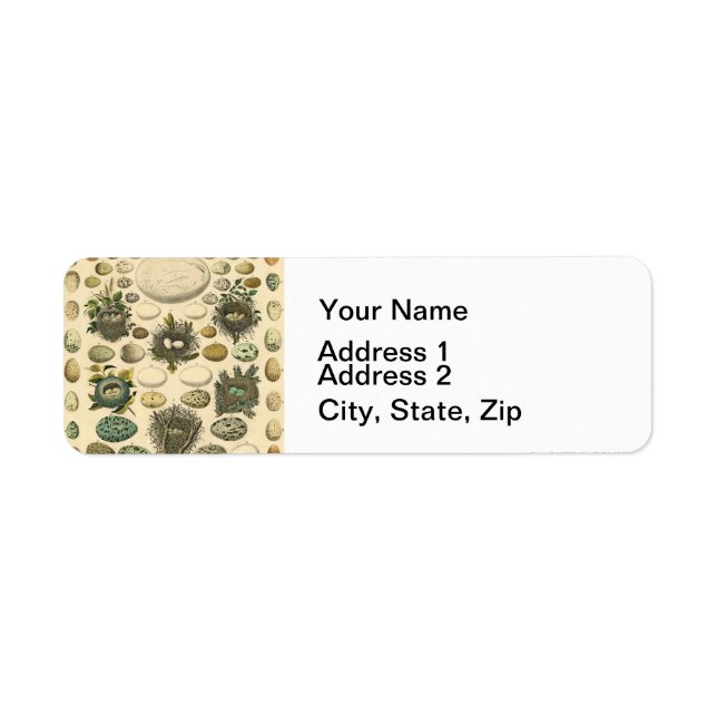 OEuf vintage Nid Art Peinture OEufs (Devant)