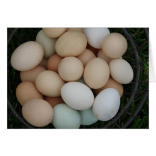 Oeufs