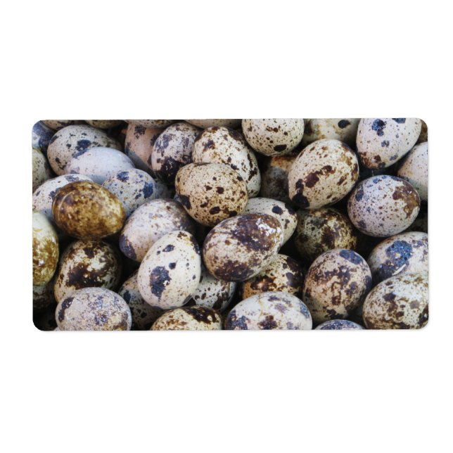 Oeufs de caille (Devant)