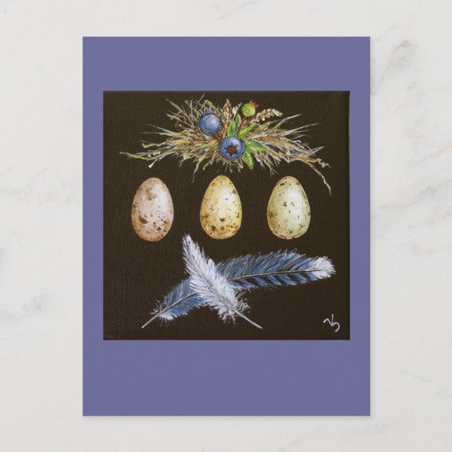 oeufs de jay bleu avec carte postale aux bleuets (Devant)