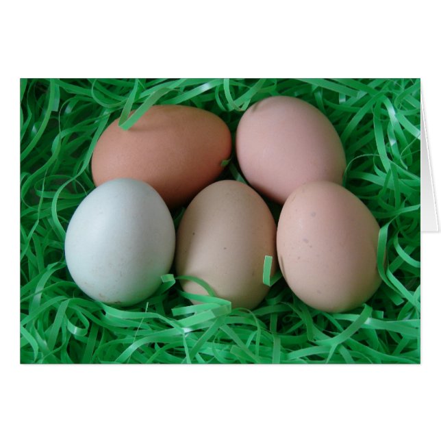 Oeufs de poulet (Devant horizontal)