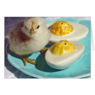 Oeufs déversés et poussins
