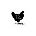 Oeufs frais ⎢ Tampon à oeufs