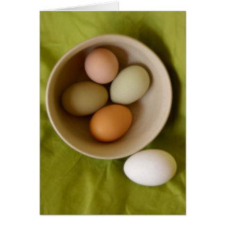Oeufs naturels