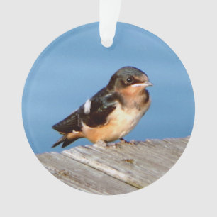 Oeuvre acrylique de la grange Swallow