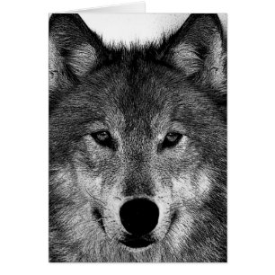 Oeuvre de Loup noir et blanc