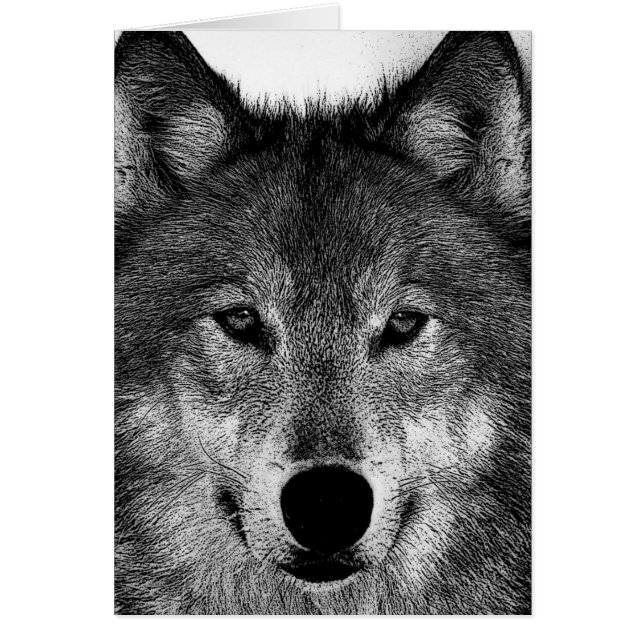 Oeuvre de Loup noir et blanc (Devant)
