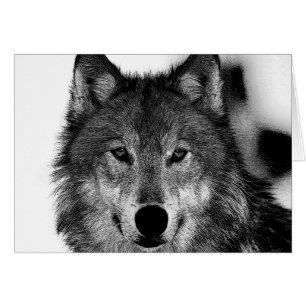 Oeuvre de Loup noir et blanc