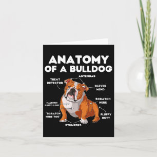 Of A Bulldog  Card