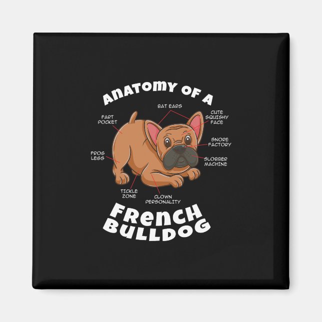 Of A French Bulldog  Magnet (Front)