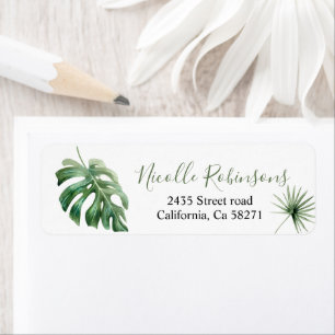 of direction Monstera tropical