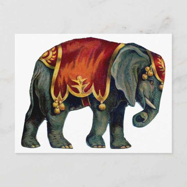 OF ITS GLORY POSTCARD (Front)