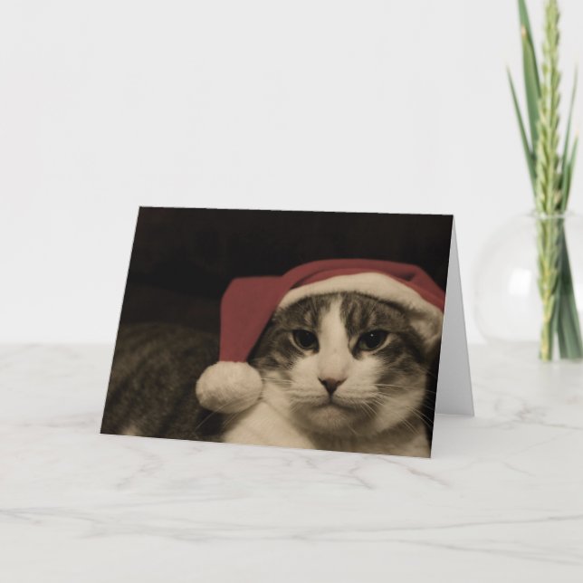 Of which be a grinch holiday card (Front)