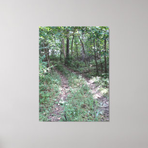 Off Road! Follow Where Your Heart Leads on a Canvas Print