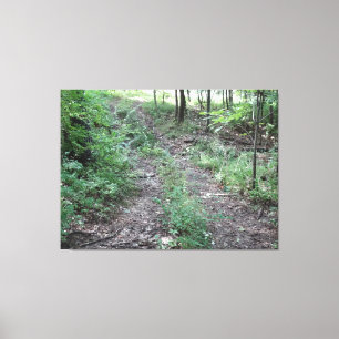 Off Road on a Canvas Print