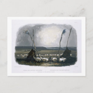 Offering of the Mandan Indians, plate 14 from Volu Postcard