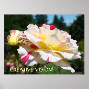 OFFICE ART GIFT Sunlit Rose CREATIVE VISION Print