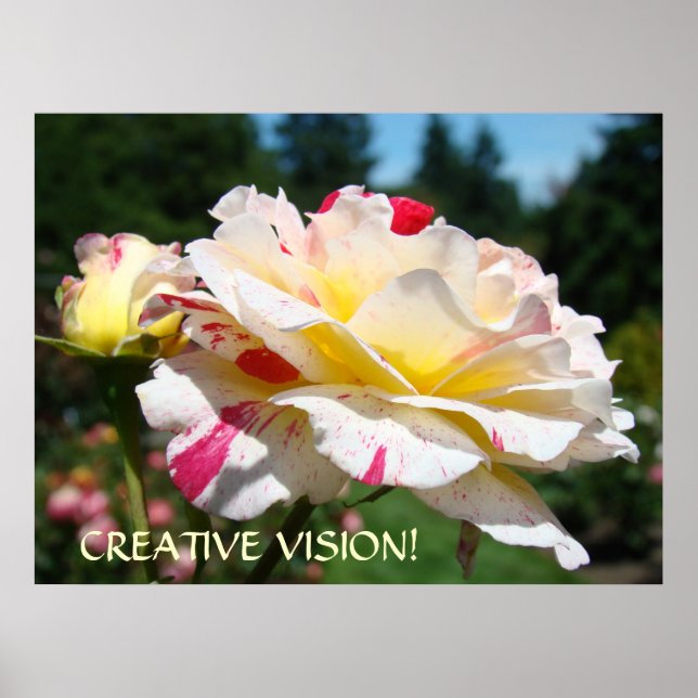 OFFICE ART GIFT Sunlit Rose CREATIVE VISION Print (Front)