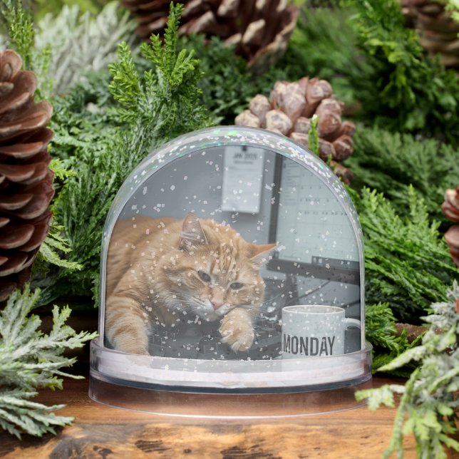 Office Monday, Fun Cats meme Snow Globe (Hiver)