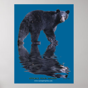 OFFICIAL BEAR HUGGER Poster