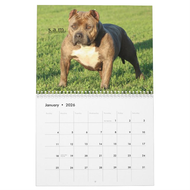 Official ROCK CITY KENNELS Calendar (Jan 2026)