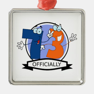 Officially 73 Birthday Banner Metal Ornament