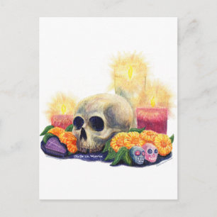 Ofrendas Postcard
