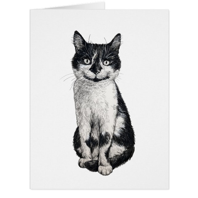 Ogie the cat (Front)